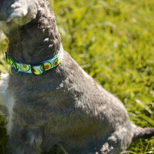 Dashi avocado collar de poli&eacute;ster verde para perros, , large Imagen numero 3